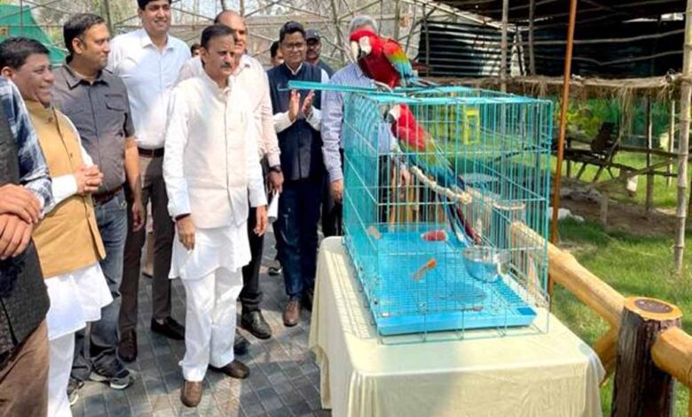 उप मुख्यमंत्री शुक्ल ने मुकुंदपुर जू का किया निरीक्षण विदेशी पक्षियों से एवियारी हुआ गुलजार उप-मुख्यमंत्री-शुक्ल-ने-मुकुंदपुर-जू-का-किया-निरीक्षण-विदेशी-पक्षियों-से-एवियारी-हुआ-गुलजार