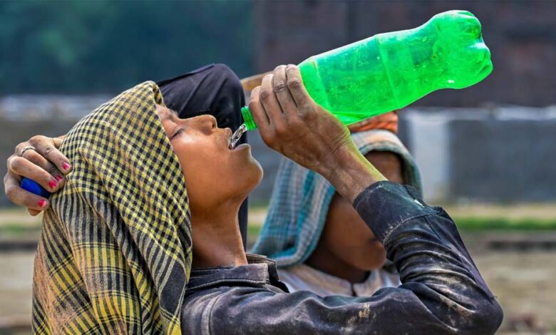 MP में भीषण गर्मी का कहर, जानवरों के लिए लगाए कूलर-ग्रीन नेट; 6 जिलों में हीटवेव अलर्ट mp-में-भीषण-गर्मी-का-कहर,-जानवरों-के-लिए-लगाए-कूलर-ग्रीन-नेट;-6-जिलों-में-हीटवेव-अलर्ट