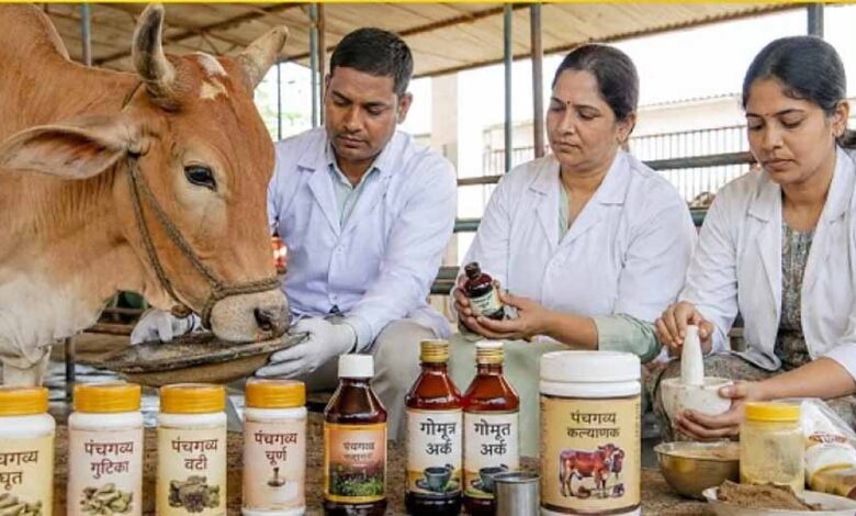 गो संरक्षण विशेष : यूपी की पंचगव्य थेरेपी देगी भारतीय चिकित्सा पद्धति को नई दिशा गो-संरक्षण-विशेष-:-यूपी-की-पंचगव्य-थेरेपी-देगी-भारतीय-चिकित्सा-पद्धति-को-नई-दिशा