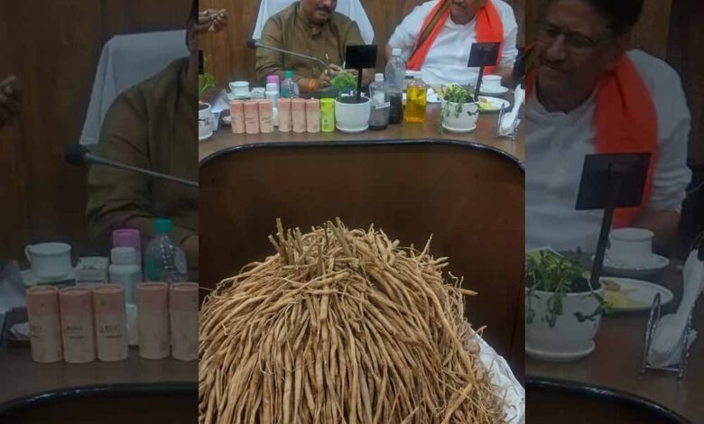 सतावर की खेती से किसानों की होगी बंपर कमाई, खेत की मेड़ बनेगी अतिरिक्त आय का जरिया सतावर-की-खेती-से-किसानों-की-होगी-बंपर-कमाई,-खेत-की-मेड़-बनेगी-अतिरिक्त-आय-का-जरिया