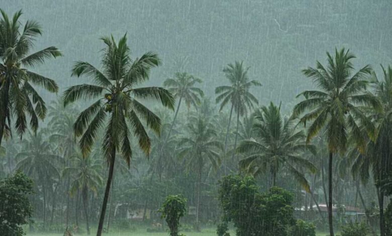 केरल में मॉनसून की रफ्तार धीमी, मौसम विभाग ने बताई देरी की वजह केरल-में-मॉनसून-की-रफ्तार-धीमी,-मौसम-विभाग-ने-बताई-देरी-की-वजह