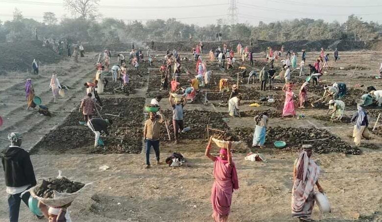 “जल संरक्षण के साथ मिल रहा बंपर रोजगार, मोर गांव, मोर तरिया” अभियान से संवर रहे ग्रामीण क्षेत्र “जल-संरक्षण-के-साथ-मिल-रहा-बंपर-रोजगार,-मोर-गांव,-मोर-तरिया”-अभियान-से-संवर-रहे-ग्रामीण-क्षेत्र