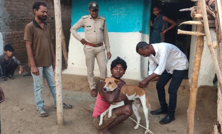 पेंच टाइगर रिजर्व में अलर्ट! बाघों को बचाने के लिए 1500 कुत्तों को लगाई जा रही वैक्सीन पेंच-टाइगर-रिजर्व-में-अलर्ट!-बाघों-को-बचाने-के-लिए-1500-कुत्तों-को-लगाई-जा-रही-वैक्सीन