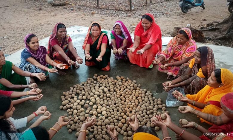 सीड बॉल बनाकर प्रकृति संरक्षण की अनूठी पहल, हरित जशपुर के निर्माण पर जोर सीड-बॉल-बनाकर-प्रकृति-संरक्षण-की-अनूठी-पहल,-हरित-जशपुर-के-निर्माण-पर-जोर