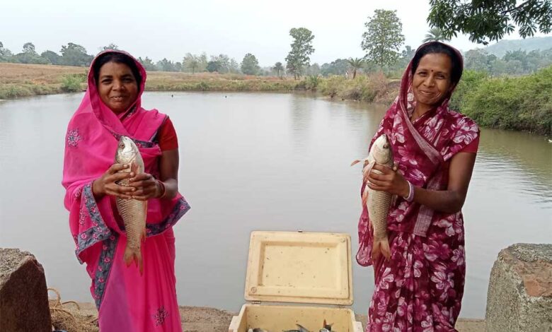 मत्स्य पालन बना ग्रामीण समृद्धि का सशक्त माध्यम मत्स्य-पालन-बना-ग्रामीण-समृद्धि-का-सशक्त-माध्यम