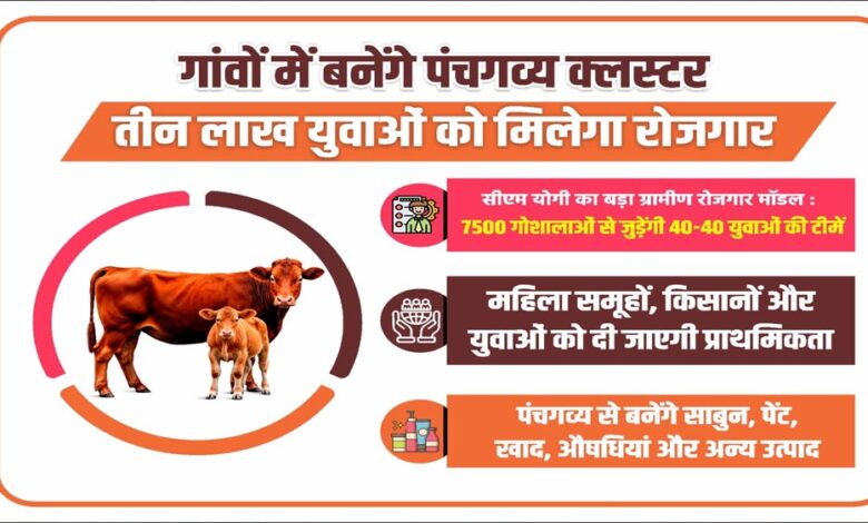गांवों में बनेंगे पंचगव्य क्लस्टर, तीन लाख युवाओं को मिलेगा रोजगार गांवों-में-बनेंगे-पंचगव्य-क्लस्टर,-तीन-लाख-युवाओं-को-मिलेगा-रोजगार