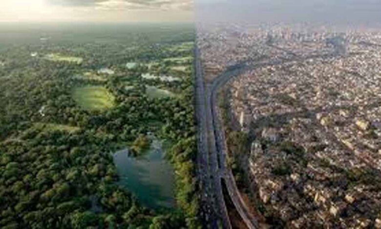 32 साल में सेंट्रल दिल्ली ने खोया 74 प्रतिशत बेहतर पर्यावरणीय क्षेत्र 32-साल-में-सेंट्रल-दिल्ली-ने-खोया-74-प्रतिशत-बेहतर-पर्यावरणीय-क्षेत्र