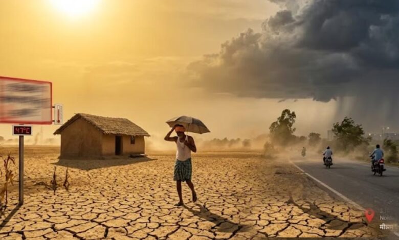 आधी बारिश, सूखा जून! अल नीनो के असर से देश ने देखा सबसे खराब मॉनसून का दौर आधी-बारिश,-सूखा-जून!-अल-नीनो-के-असर-से-देश-ने-देखा-सबसे-खराब-मॉनसून-का-दौर