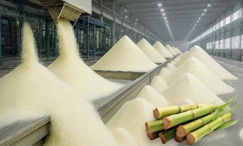 अल-नीनो और इथेनॉल की दोहरी मार! भारत के चीनी एक्सपोर्ट पर कई साल तक लग सकता है ब्रेक अल-नीनो-और-इथेनॉल-की-दोहरी-मार!-भारत-के-चीनी-एक्सपोर्ट-पर-कई-साल-तक-लग-सकता-है-ब्रेक