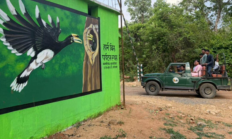 वन मंत्री केदार कश्यप की पहल से उदंती-सीतानदी टाइगर रिजर्व में शुरू होगी हॉर्नबिल सफारी वन-मंत्री-केदार-कश्यप-की-पहल-से-उदंती-सीतानदी-टाइगर-रिजर्व-में-शुरू-होगी-हॉर्नबिल-सफारी